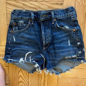 AGOLDE Parker Shorts